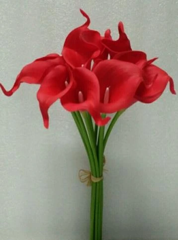 Single Cala Lily small